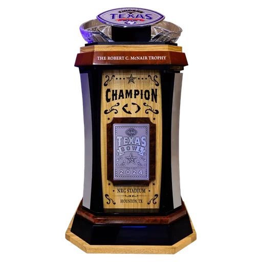 2023 Texas Bowl Champions